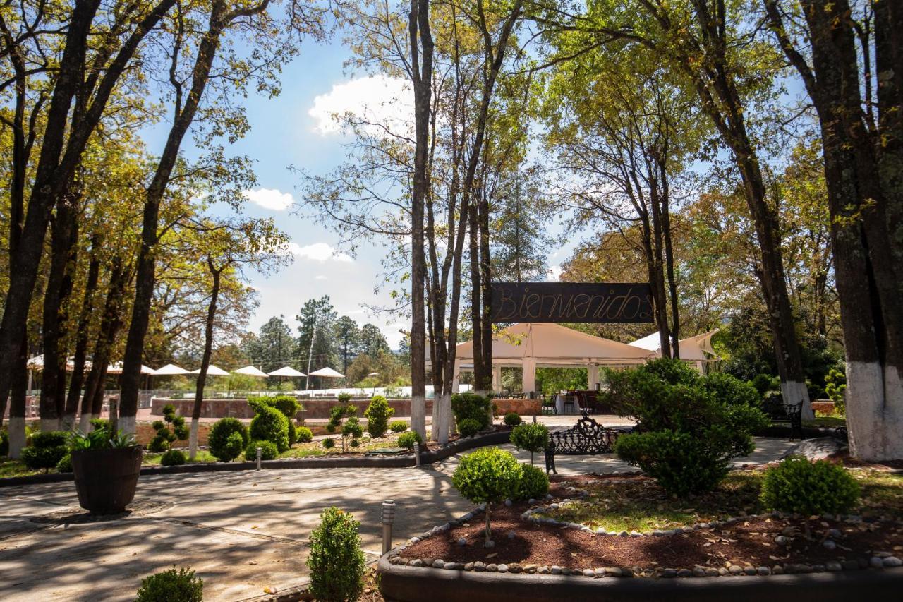 Hotel & Glamping Huasca Sierra Verde Huasca de Ocampo Exterior foto